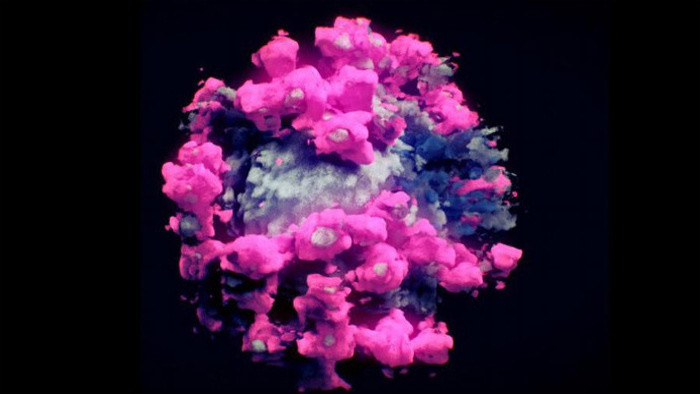 Coronavirus in 3-D unter Beteiligung slowakischer Wissenschaftler 
