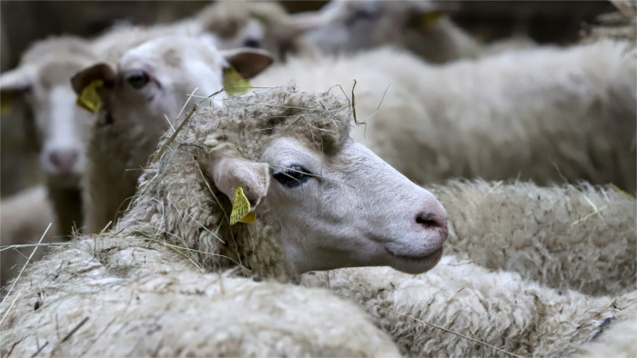 Le sommet avec la Chine confirme l’intérêt de la coopération au niveau multilatéral