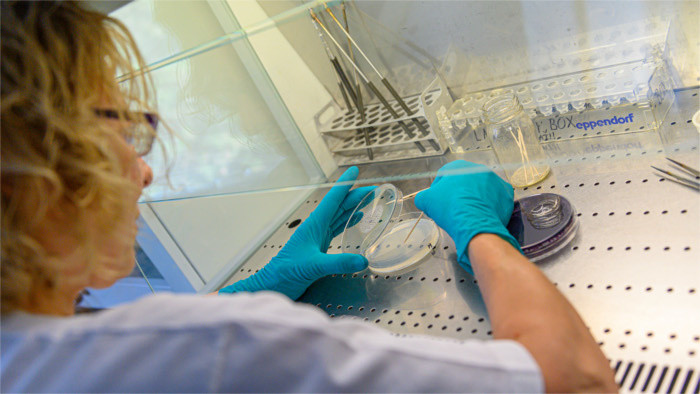 Celebramos el Día Internacional de la Mujer y la Niña en la Ciencia