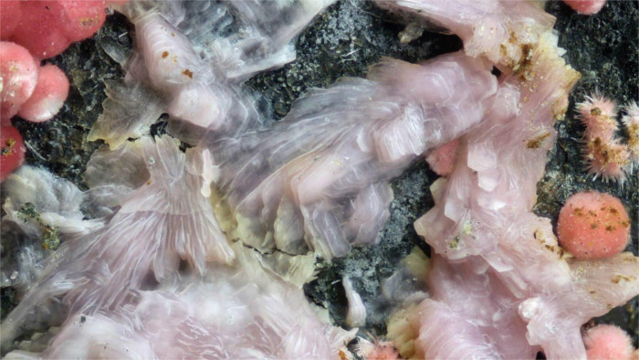 Neues Mineral in Dobšiná entdeckt