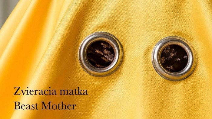 V bratislavskej Kunsthalle si môžete cez okno pozrieť Zvieraciu matku