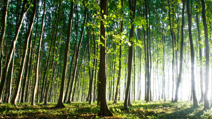Online príručka školákom približuje enviromentálne aktivity pútavou formou