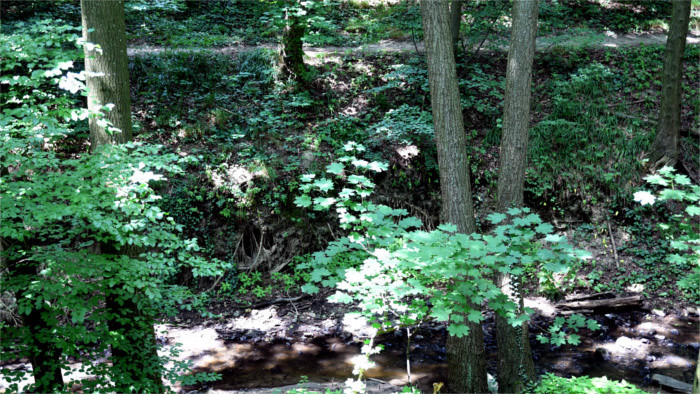 Poďte sa prejsť po vrakunskom lesoparku