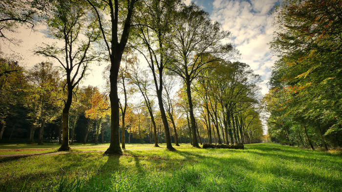 Srdce Vajnor – Park pod lipami, bude ešte krajší