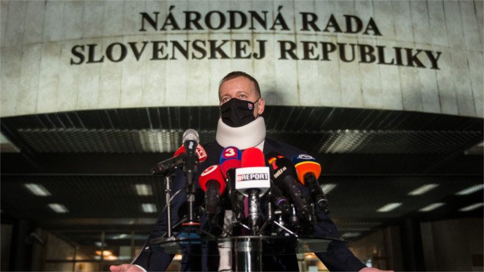 Rencontre online des présidents des parlements des pays du V4