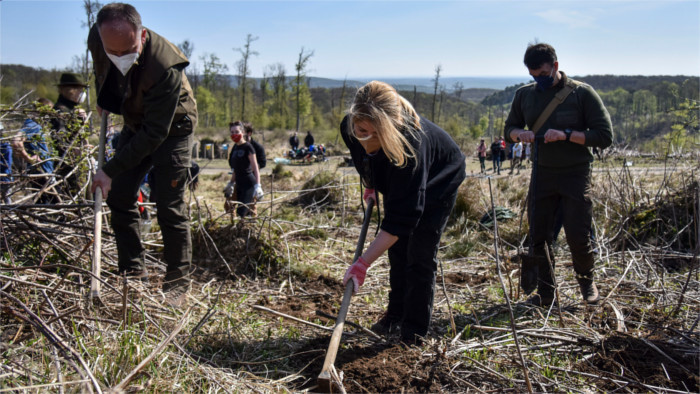La Présidente plante des arbres
