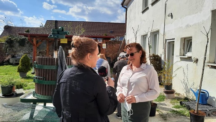 Gaštanová aleja vo Vinosadoch