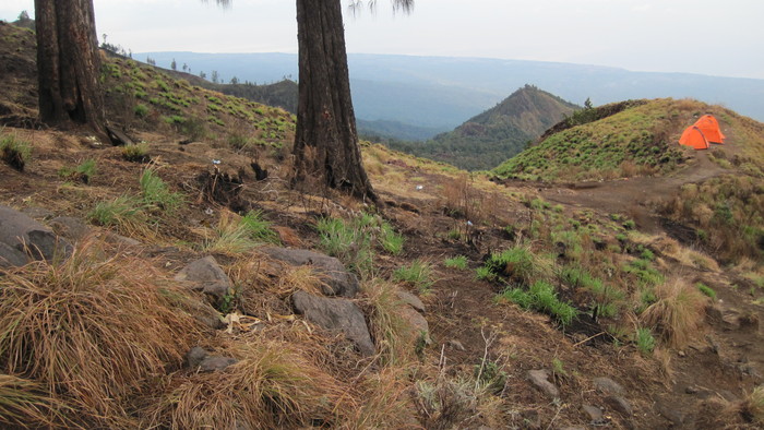 KempingPodRinjani.jpg