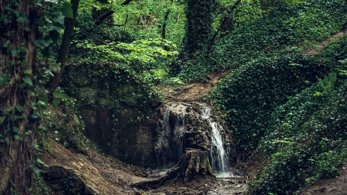 Tip na výlet: Haluzická tiesňava je krásna aj počas daždivej jari