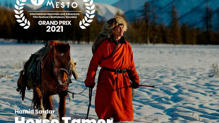 Aké filmy zvíťazili na festivale Hory a mesto?