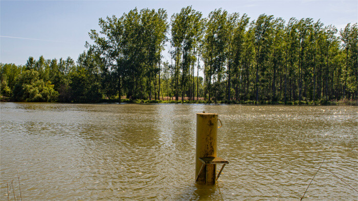 Künstliche Hochwasser im Donau-Binnendelta 