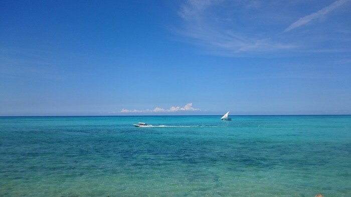 Zanzibar_OdtieneModrej.jpg