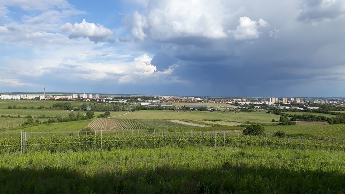 Dotácie mesta Pezinok