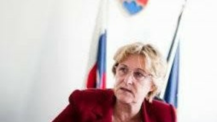 La Defensora del Pueblo lleva al Constitucional la nueva Ley contra la Exclusión Social