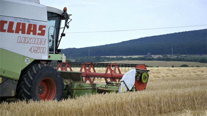 En las regiones del sur se pone en marcha la cosecha de trigo