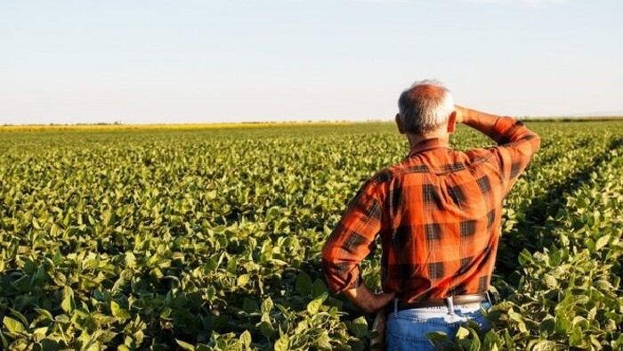 Jelentős támogatáshoz jut az agrárszektor 