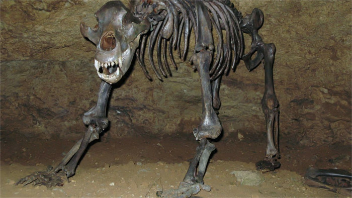 važecká-jaskyňa2.jpg