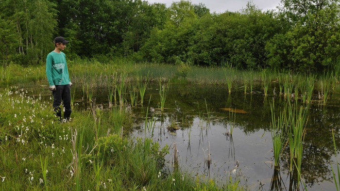 Rašelinisko Nad Šenkárkou v Malých Karpatoch