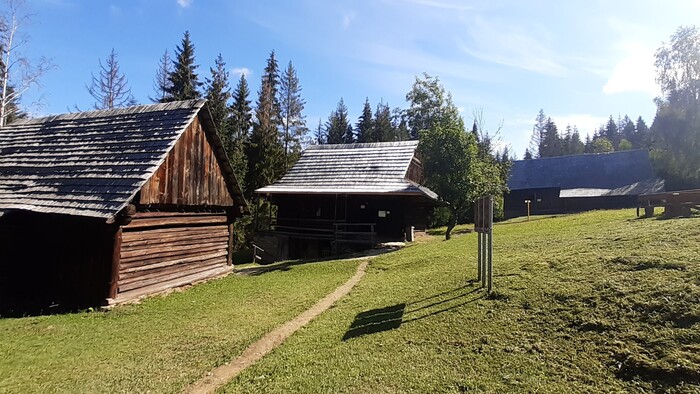 20210803_094646.jpg