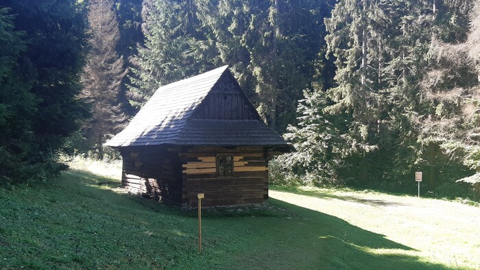 20210803_094548.jpg