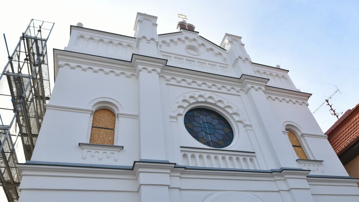 Richardov DEDEKER / Senec