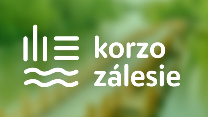 Plenér na Korze v Zálesí