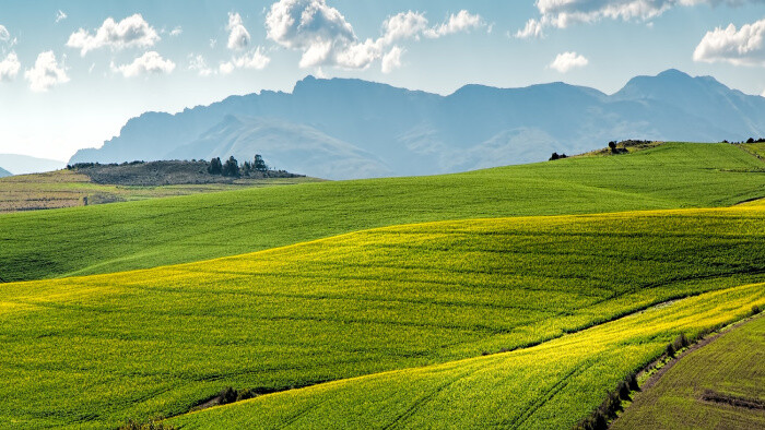 Glosa: Farmári