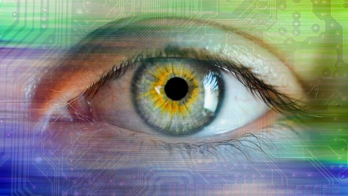 Súd s whistleblowerom 