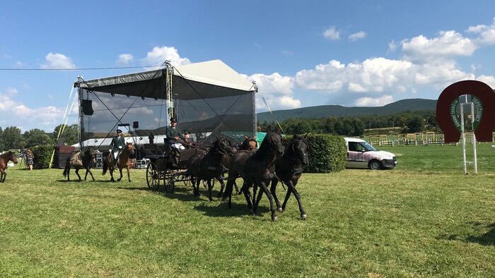 Národný žrebčín v Topoľčiankach oslavuje storočnicu
