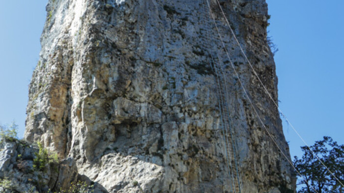 rača.jpg