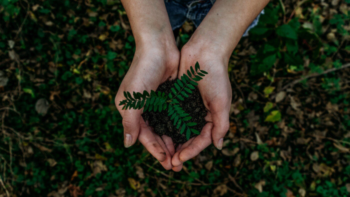 Naši envirožurnalisti bodovali na medzinárodnej súťaži