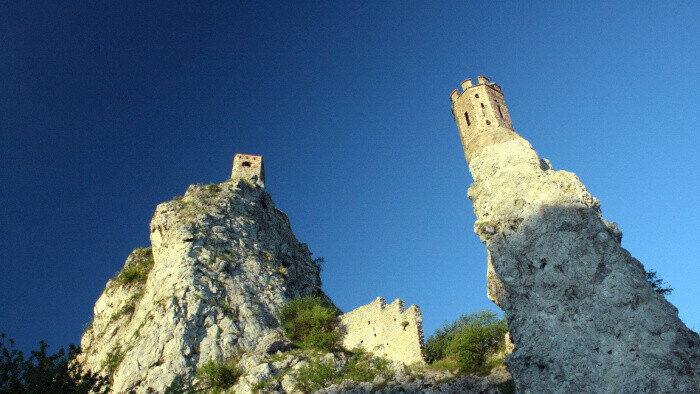 Čistenie hradného brala na Devíne