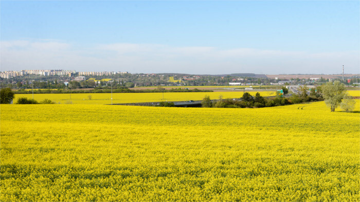 Le Fonds Foncier en aide aux agriculteurs