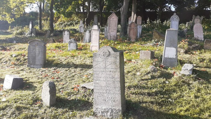 Dobrovoľníci obnovujú starý židovský cintorín v Košiciach
