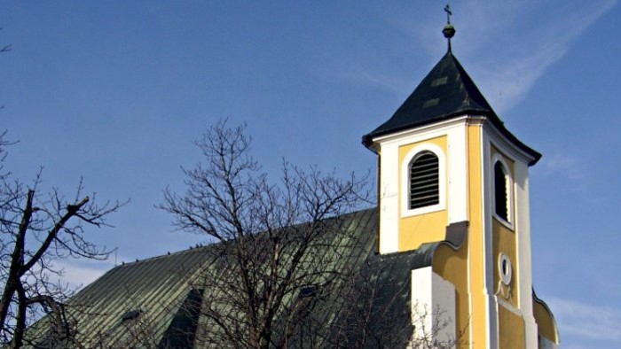 Družba Dunajskej Lužnej s Lednicami