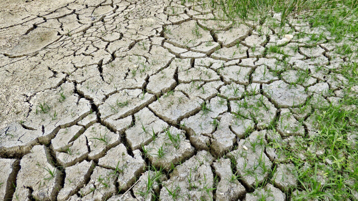 Ako mení klimatická zmena stáročné pranostiky? 