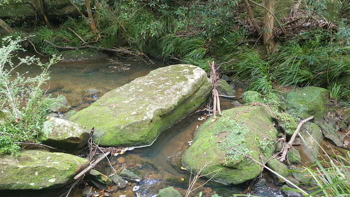 20190417_114028.jpg