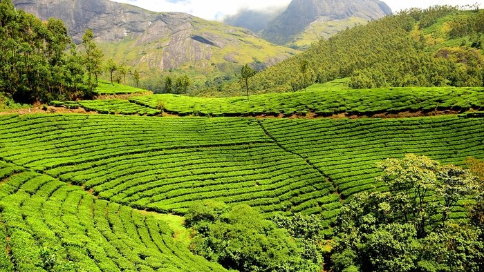 India zrušila agrárnu reformu