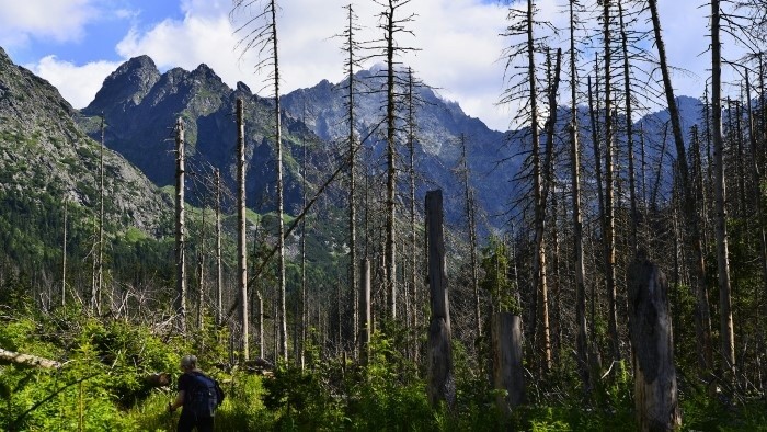 La desecación de las turberas de los Altos Tatras podría acelerar el calentamiento global
