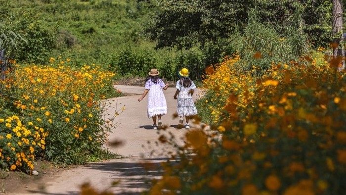 Stredisko enviro výchovy Dropie