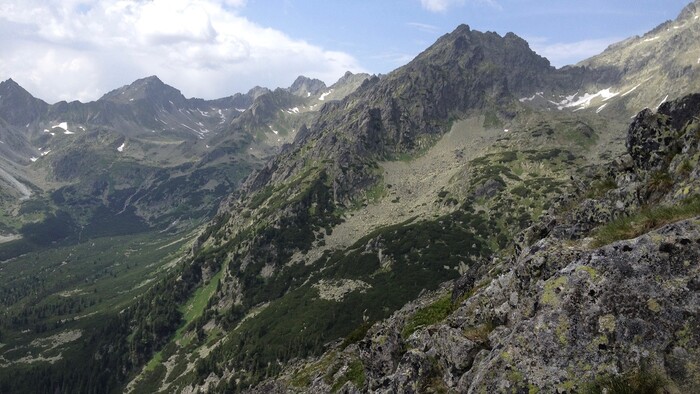 Reforma národných parkov