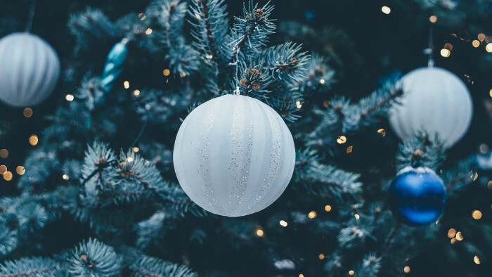 Fórum: Čo s vianočnými stromčekmi po sviatkoch