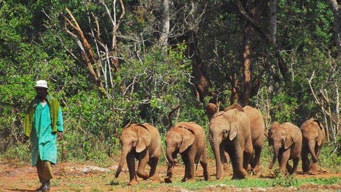 Zamyslenie / In memoriam