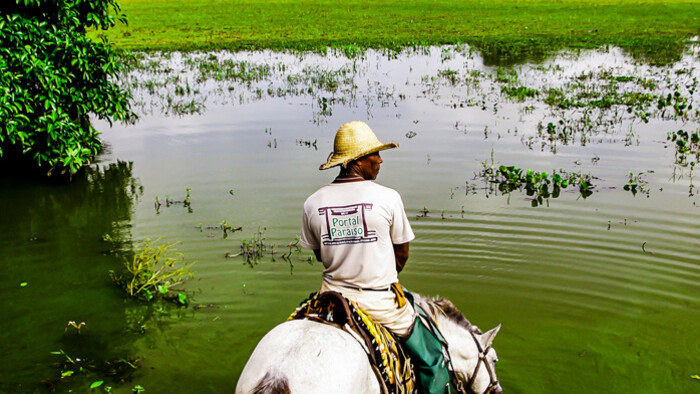 NARODNY PARK PANTANAL.jpg