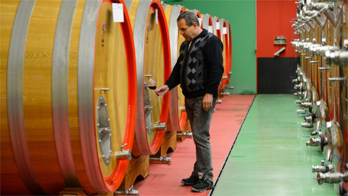 Bratislava veut faire revivre les vignobles de la ville