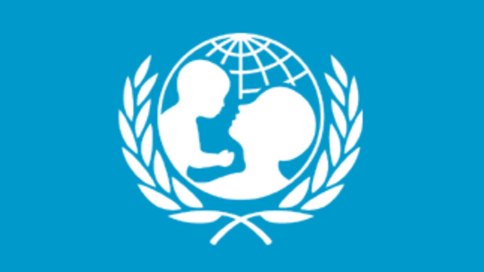 Slovakia gains vice-chair post on UNICEF's executive board for 2022 