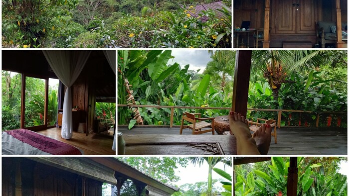 Ubud Valley Boutique resort.jpg