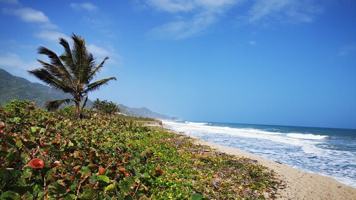 tayrona plaze a indiani (3).jpg