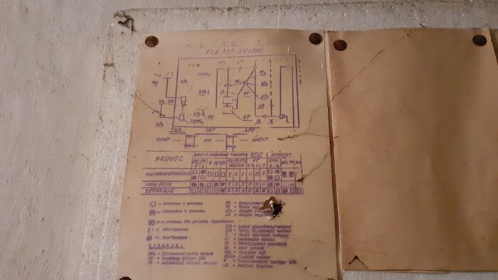 20220322_083108.jpg