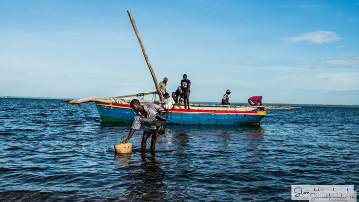 RTVS ILHA DO MOZAMBIQUE (1 of 1) (3).jpg